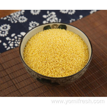 Millet Seed For Birds